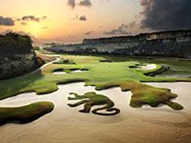 Sandy Lane (Green Monkey)