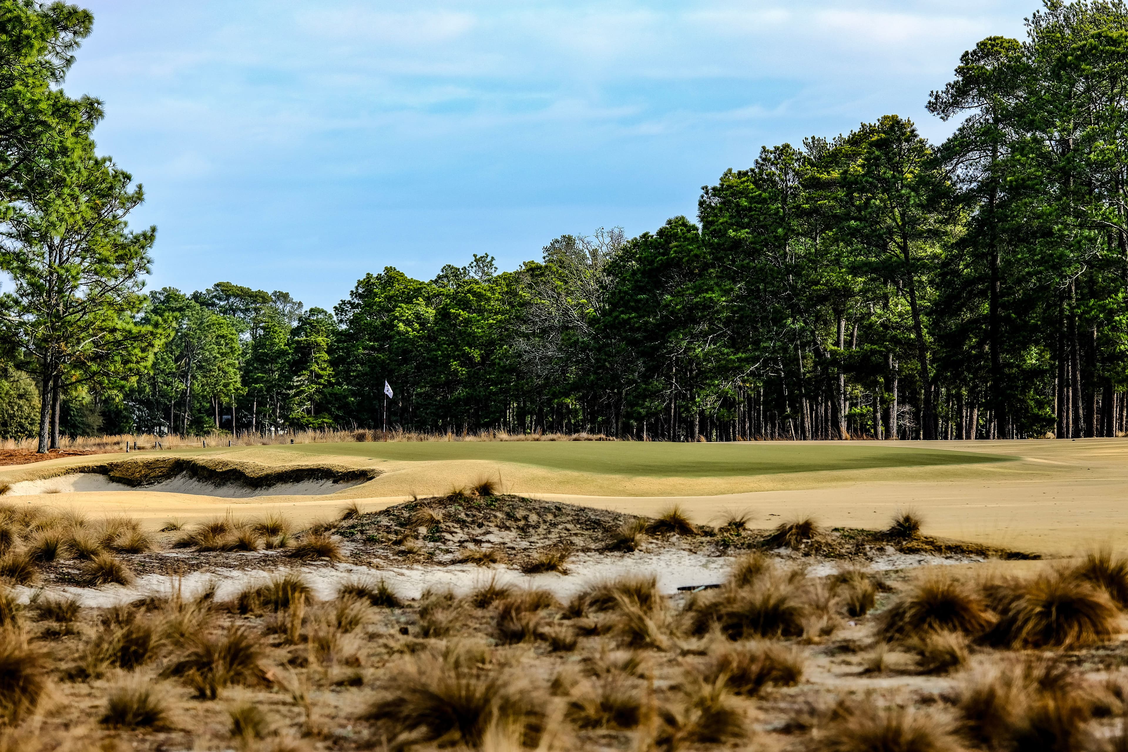 Pinehurst Golf Courses Guide: North Carolina's Legendary Sandhills