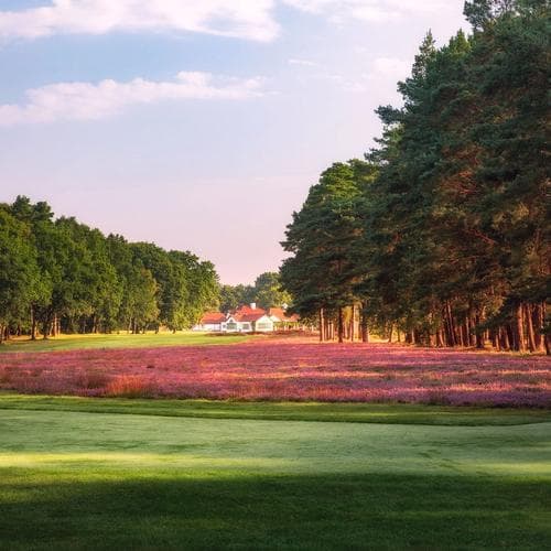 Wanted - English Top 100 Panellists